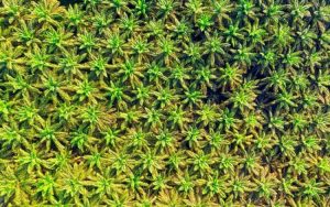 1000002204-750x469