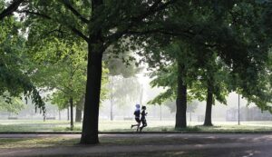 jogging-4211946_640